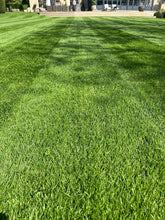 Load image into Gallery viewer, Verticutter Cassette for VonHaus 1800W and Bluemars 2000W Scarifiers